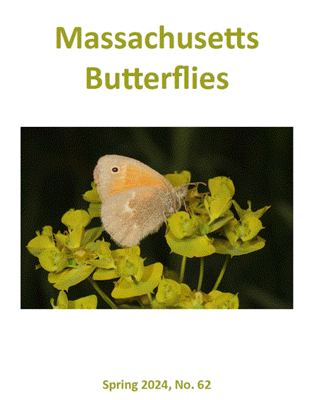 Cover of Spring 2024 Issue of 'Massachusetts Butterflies'