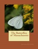 The Butterflies of Massachusetts: their history and future