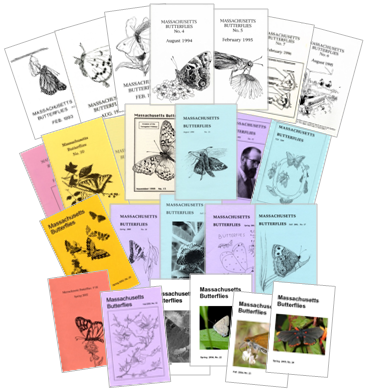 Some covers of back issues.  Scroll down this page to view table of contents or to download the back issues.