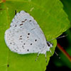Summer Azure