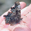 Green Comma